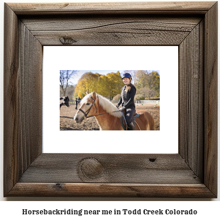 horseback riding near me in Todd Creek, Colorado